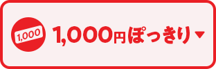1,000円ぽっきり