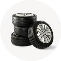 �J�[�p�i�E�o�C�N�p�i�̉摜