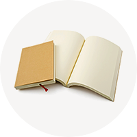 �{�E�R�~�b�N�E�G���̉摜