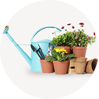 花・ガーデン・DIY工具の画像