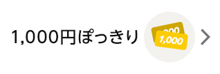 1,000円ぽっきり