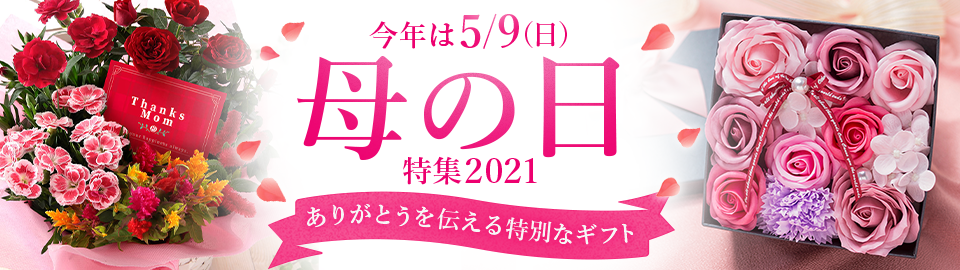 æ¯ã®æ—¥ç‰¹é›†2021 Au Pay ãƒžãƒ¼ã‚±ãƒƒãƒˆ é€šè²©ã‚µã‚¤ãƒˆ